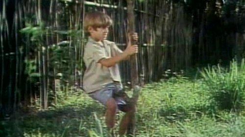 My Sweet Orange Tree filmas žiurėti online