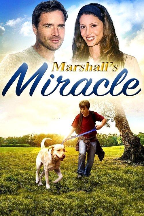 Marshall's Miracle filmas online