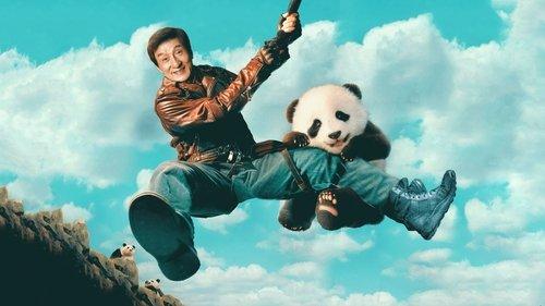 Panda Plan filmas žiurėti online