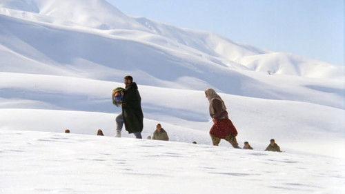 Muleteers filmas žiurėti online