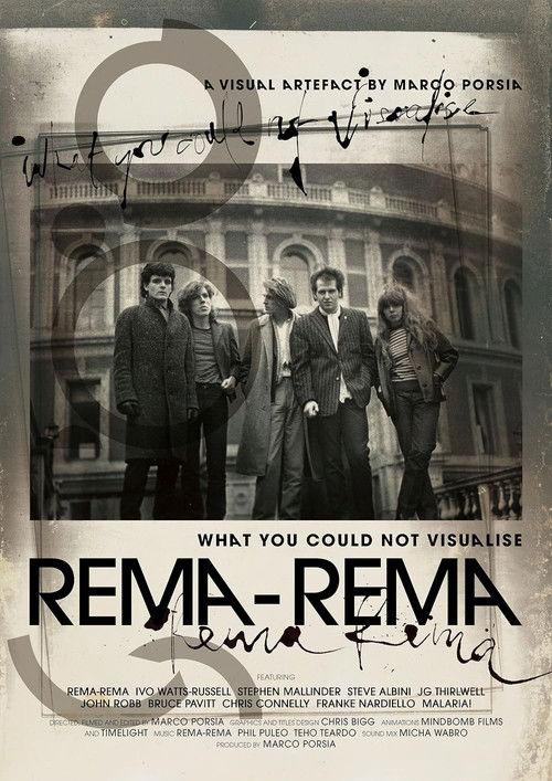 What You Could Not Visualise filmas online