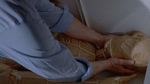 Asylum filmas žiurėti online