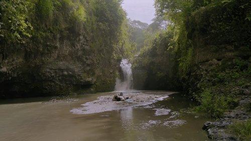 Salikmata filmas žiurėti online