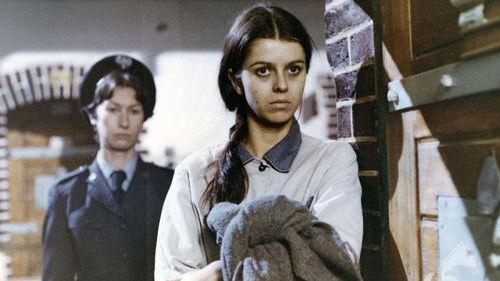 Custody filmas žiurėti online