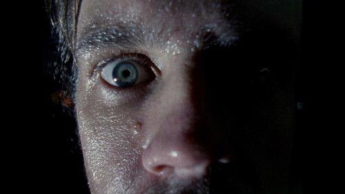 Habit filmas žiurėti online