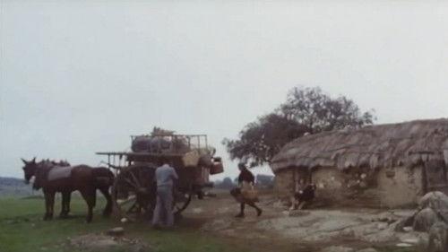 Los santos inocentes filmas žiurėti online