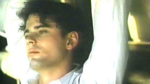 Into the Homeland filmas žiurėti online