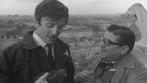 Order of the Daisy filmas žiurėti online