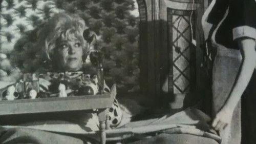 Love Love Love filmas žiurėti online