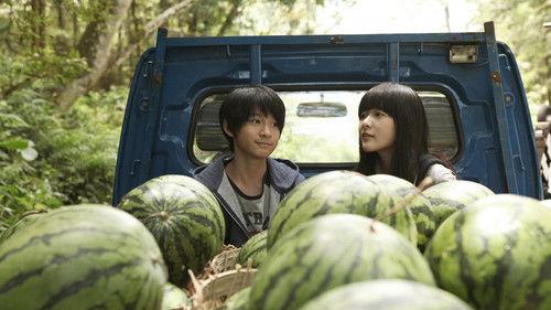 Starry Starry Night filmas žiurėti online