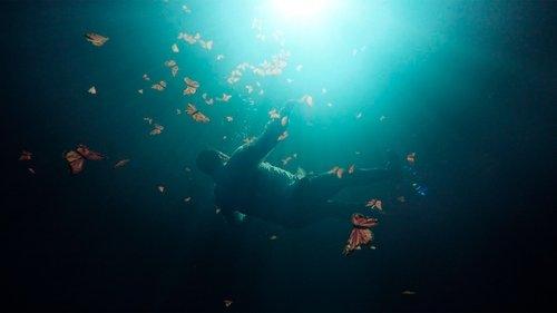 El Guardián de las Monarcas filmas žiurėti online