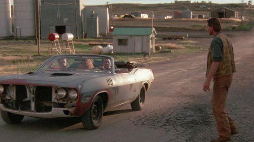 Bright Angel filmas žiurėti online