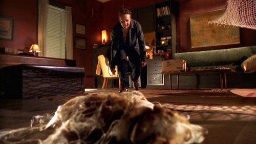 Earth vs. the Spider filmas žiurėti online