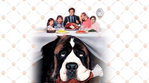 Bethovenas filmas žiurėti online