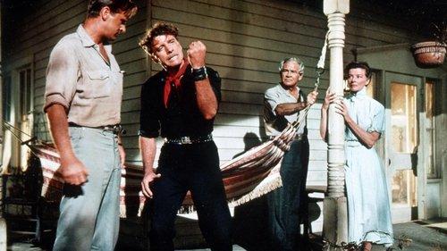 The Rainmaker filmas žiurėti online