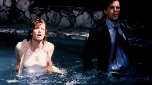 Susan's Plan filmas žiurėti online