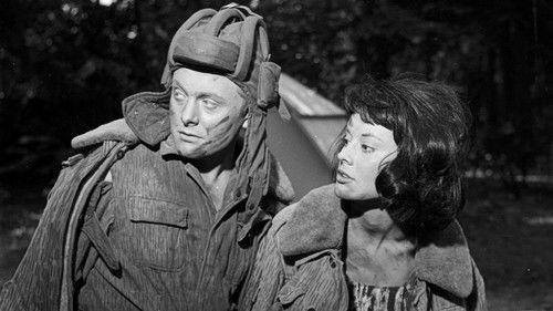 Czerwone berety filmas žiurėti online