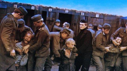 Dio è con noi filmas žiurėti online