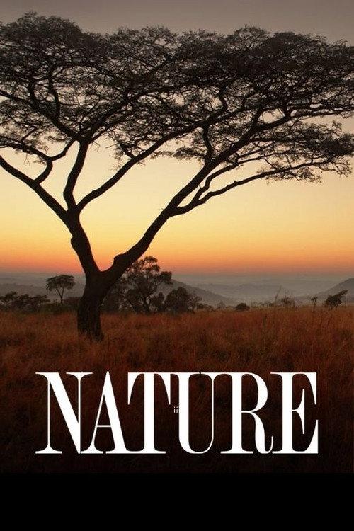 Nature filmas online