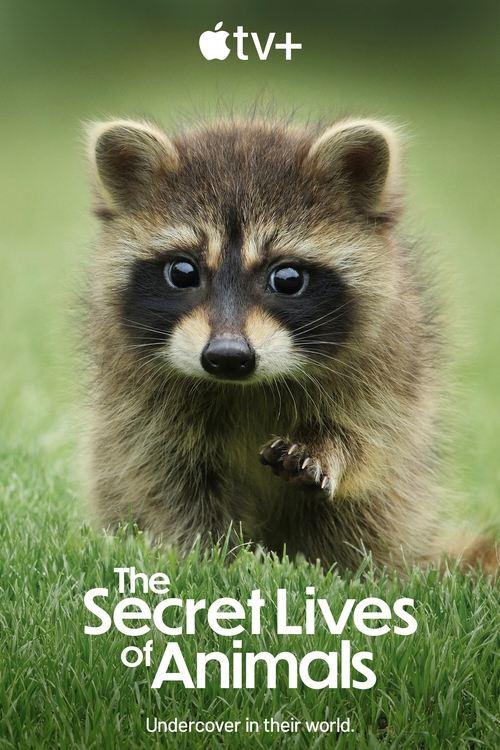 The Secret Lives of Animals filmas online