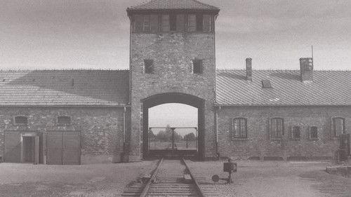 Genocide filmas žiurėti online