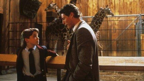 Bump in the Night filmas žiurėti online