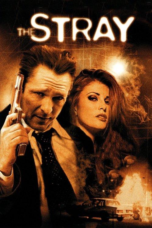 The Stray filmas online