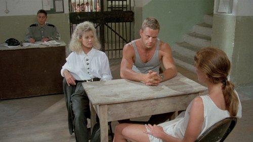 Hired to Kill filmas žiurėti online