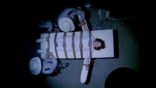 Crossed Over filmas žiurėti online