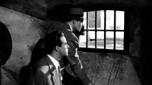 Apartado de correos 1001 filmas žiurėti online