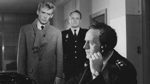 The Young Have No Time filmas žiurėti online