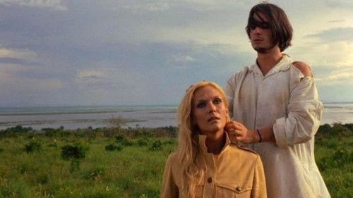 The Lion Has Seven Heads filmas žiurėti online