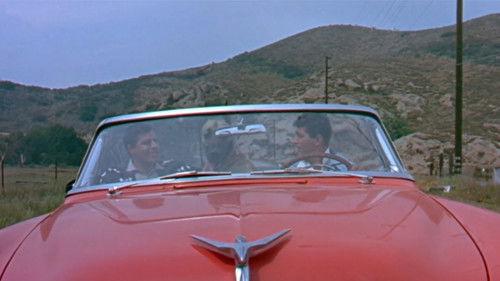 Hollywood or Bust filmas žiurėti online