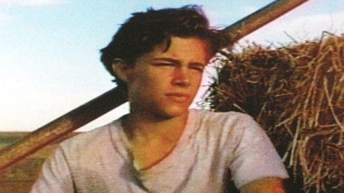 Shimmer filmas žiurėti online