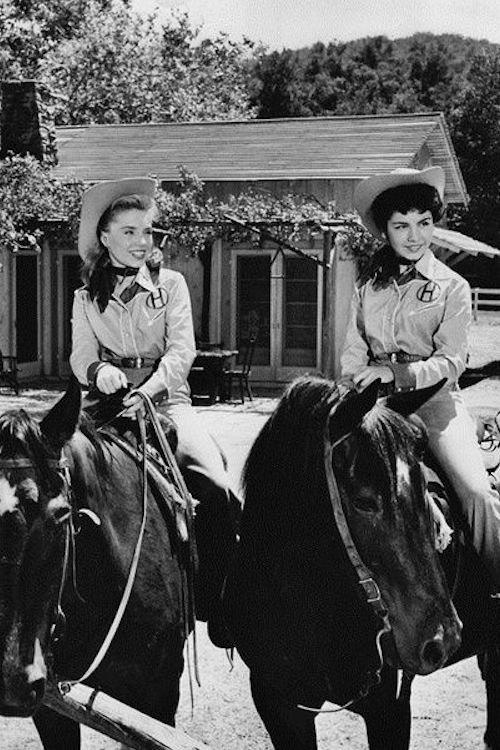 The New Adventures of Spin and Marty filmas online