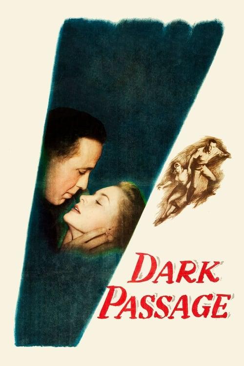 Dark Passage filmas online