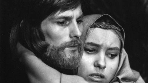 Zobena ēnā filmas žiurėti online