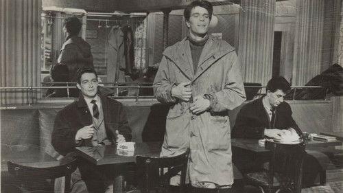 The Cheaters filmas žiurėti online