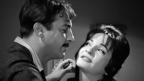 Wife Number 13 filmas žiurėti online