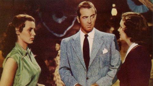 The Blazing Forest filmas žiurėti online