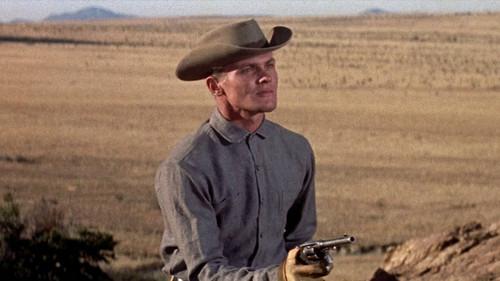 Gunman's Walk filmas žiurėti online