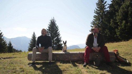 Les Choses simples filmas žiurėti online