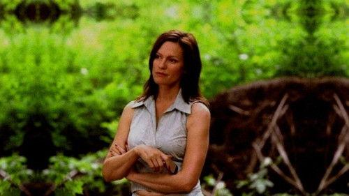 Beetles for Breakfast filmas žiurėti online