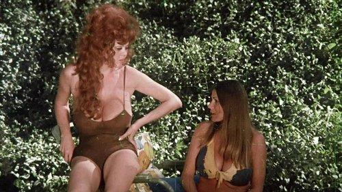 Female Chauvinists filmas žiurėti online