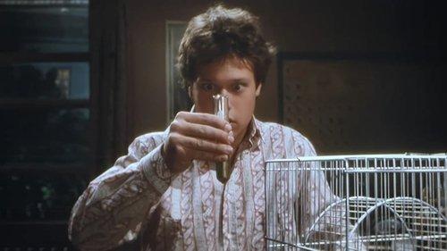 The Invisible Kid filmas žiurėti online