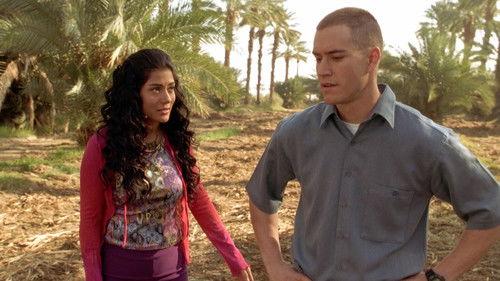 The Princess & the Marine filmas žiurėti online