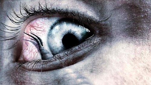 Growth filmas žiurėti online