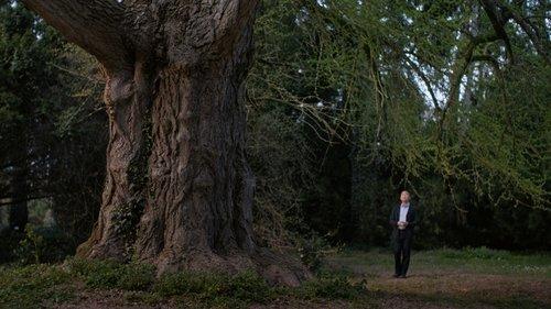 Silent Friend filmas žiurėti online