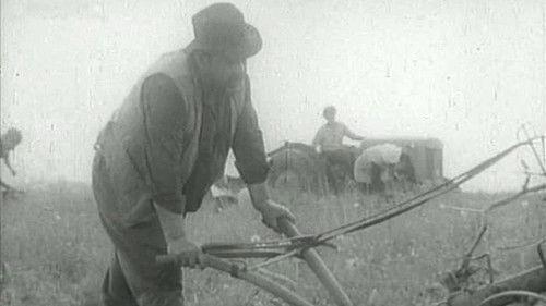 Boundary filmas žiurėti online