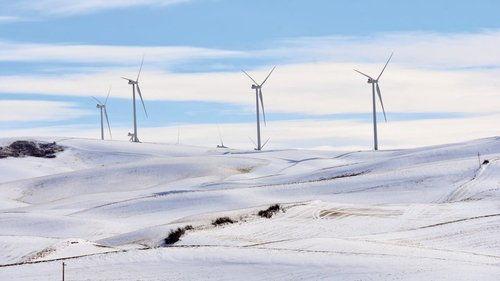 Climate: The Movie (The Cold Truth) filmas žiurėti online